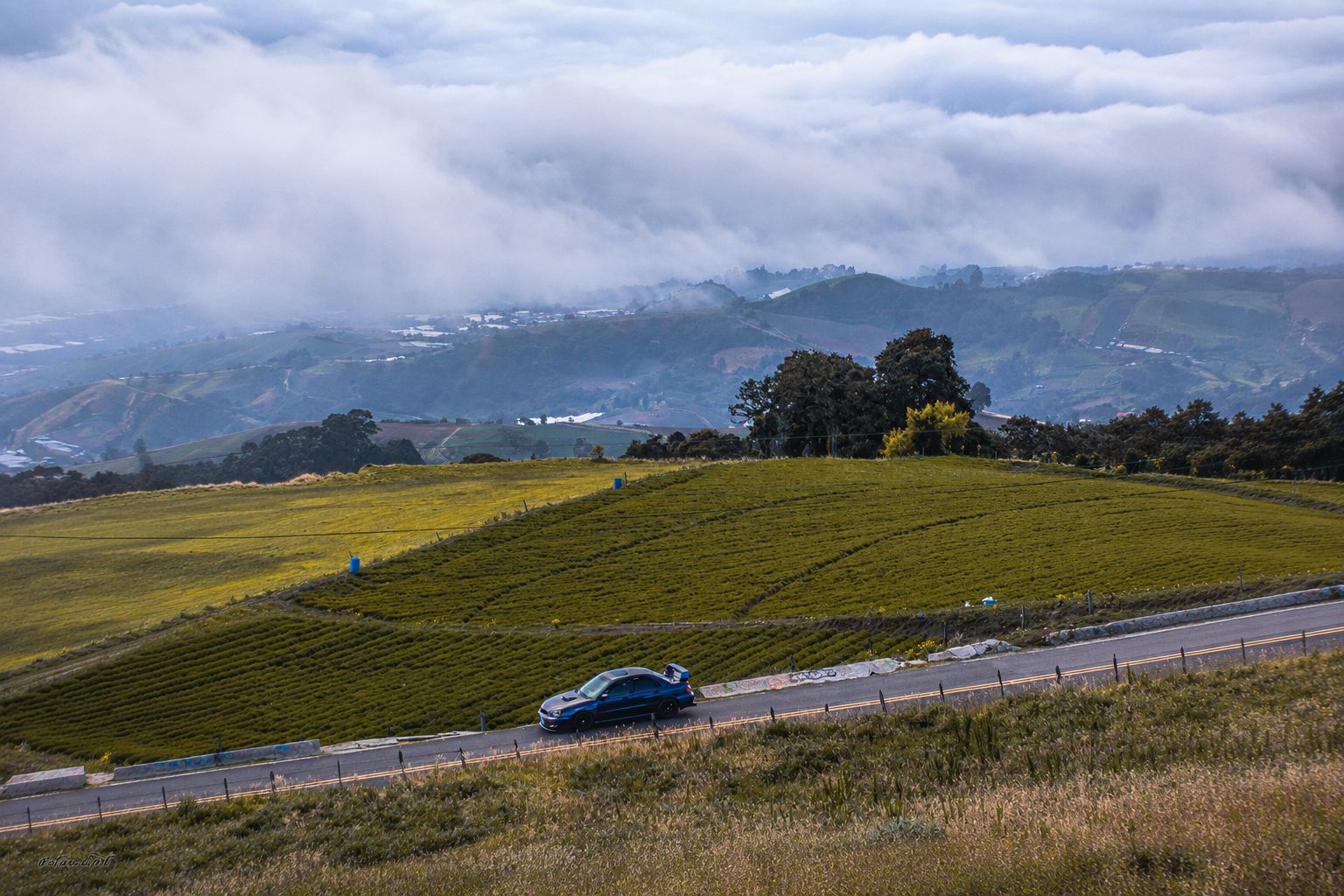 Auto azul recorriendo una carretera de montaña entre campos verdes y nubes bajas